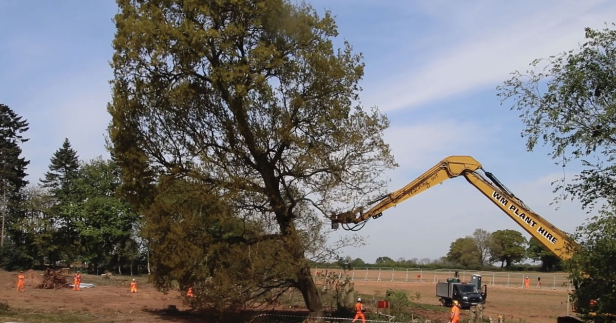 Stand For the Trees It's time for all of us to Stand for the Trees